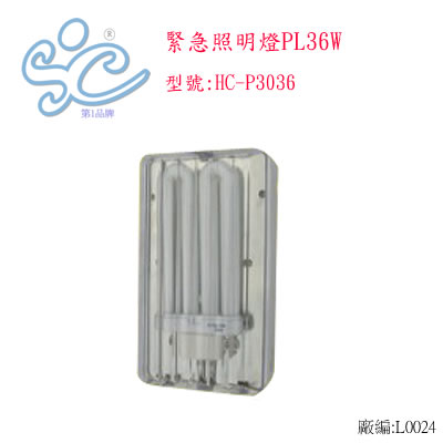 HC_p3036.jpg